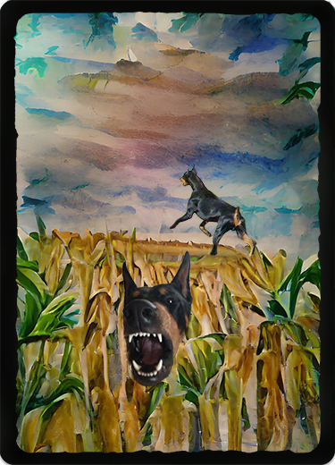 CORNDOBE