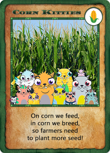 CORNKITTIES