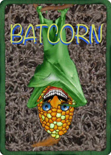 BATCORN