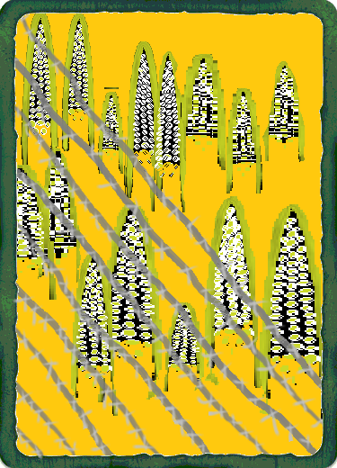 CORNFIFTYONE