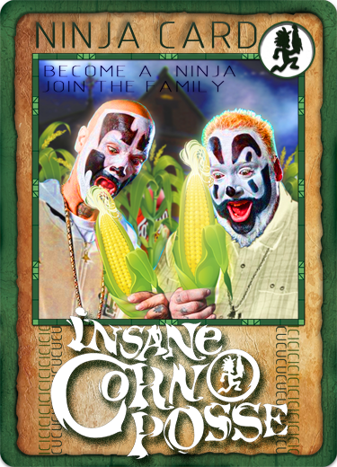 ICPNINJA