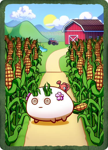 CORNINFINITY
