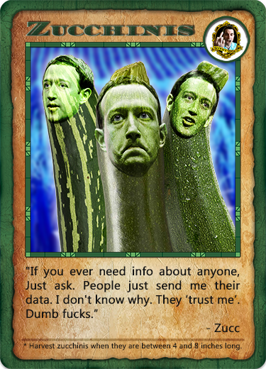 ZUCCHINIS