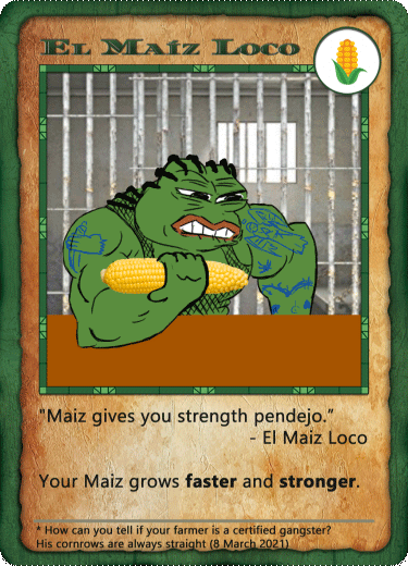 ELMAIZLOCO