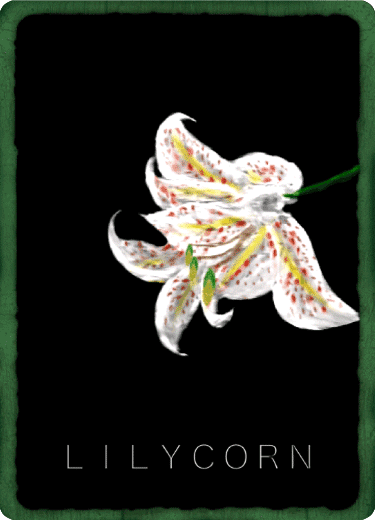 LILYCORN